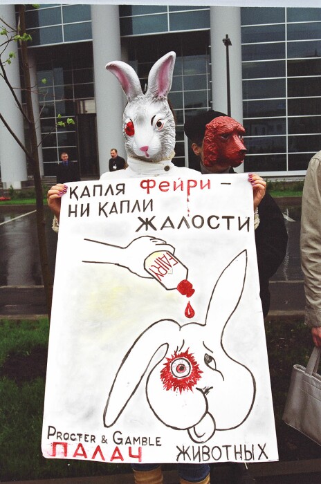 «ВИТА» центр защиты прав животных--Тестирование косметики ...